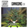 Cannasonic   Big Bud x Skunk - Medical Nova Seeds