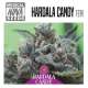 HARDALA CANDY