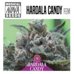 HARDALA CANDY