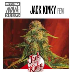 JACK KINKY