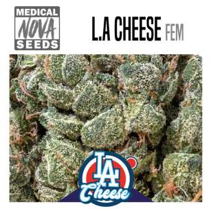 L.A CHEESE