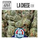 L.A CHEESE