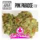 PINK PARADISE