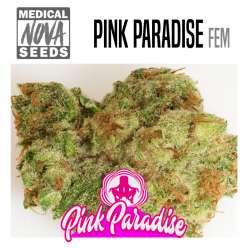 PINK PARADISE