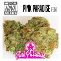 PINK PARADISE
