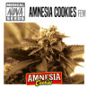 AMNESIA COOKIES