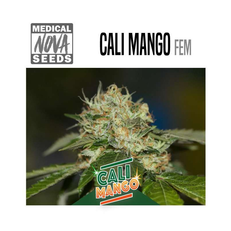 CALI MANGO 