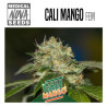 CALI MANGO 