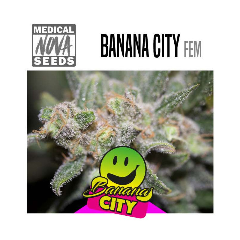 BANANA CITY