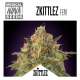 ZKITTLEZ
