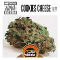 COOKIES CHEESE