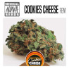 COOKIES CHEESE 