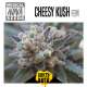 CHEESY KUSH 