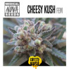 CHEESY KUSH 