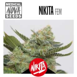 NIKITA