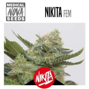 NIKITA
