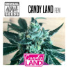 CANDY LAND