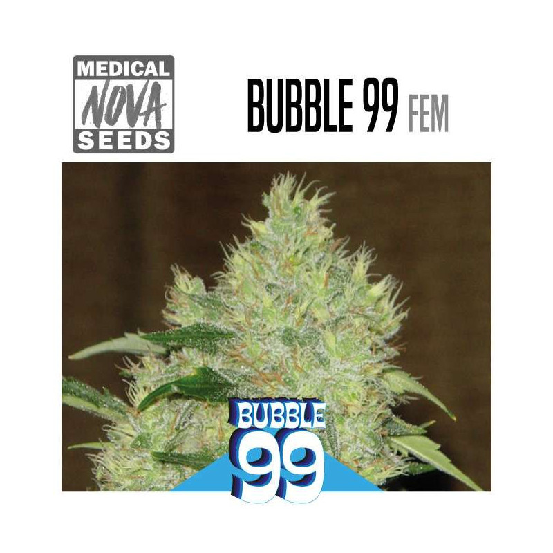 BUBBLE 99 