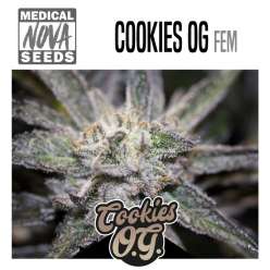COOKIES OG 