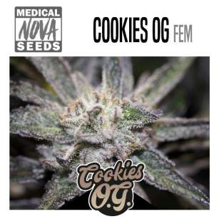 COOKIES OG 