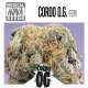 CORDO OG