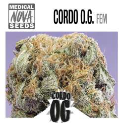 CORDO OG