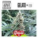 GELATO +