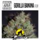 GORILLA BANANA