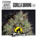 GORILLA BANANA