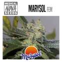 MARYSOL