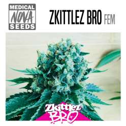 ZKITTLEZ BRO