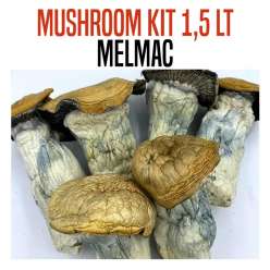 GROW KIT MELMAC 1,5 LT