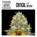 CRITICAL CBD 