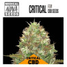 CRITICAL CBD 