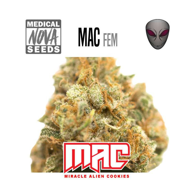 MAC 