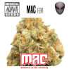 MAC 