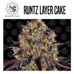 RUNTZ LAYER CAKE