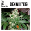 CHEM VALLEY KUSH