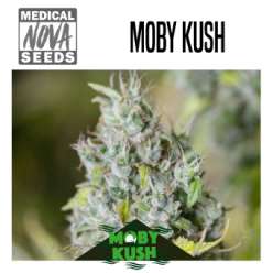 MOBY KUSH 