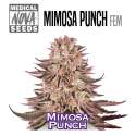MIMOSA PUNCH MEDICAL NOVA