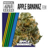 APPLE BANANAZ