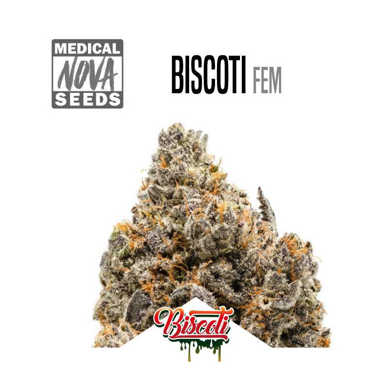 BISCOTTI