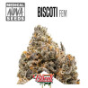 BISCOTTI