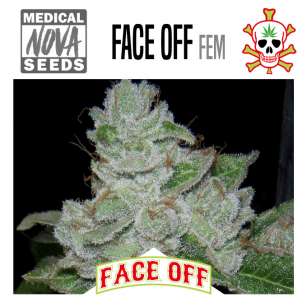 FACE OFF 