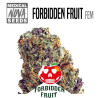 FORBIDDEN FRUIT 
