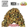 MOCHI