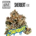 SHERBERT
