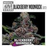 BLACKBERRY MOONROCK AUTO