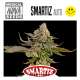SMARTIZ AUTO 