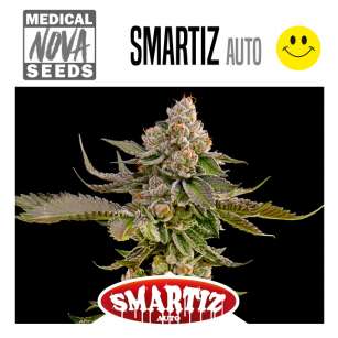 SMARTIZ AUTO 